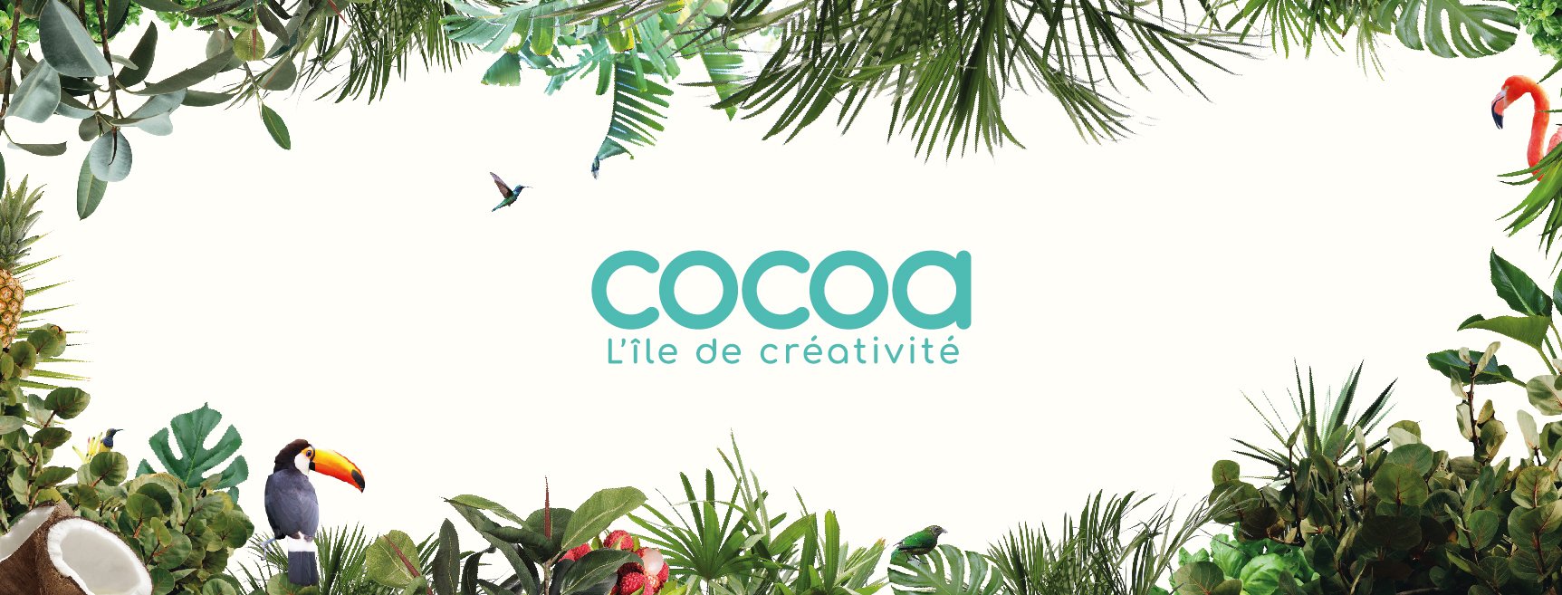 Facebook couverture cocoa