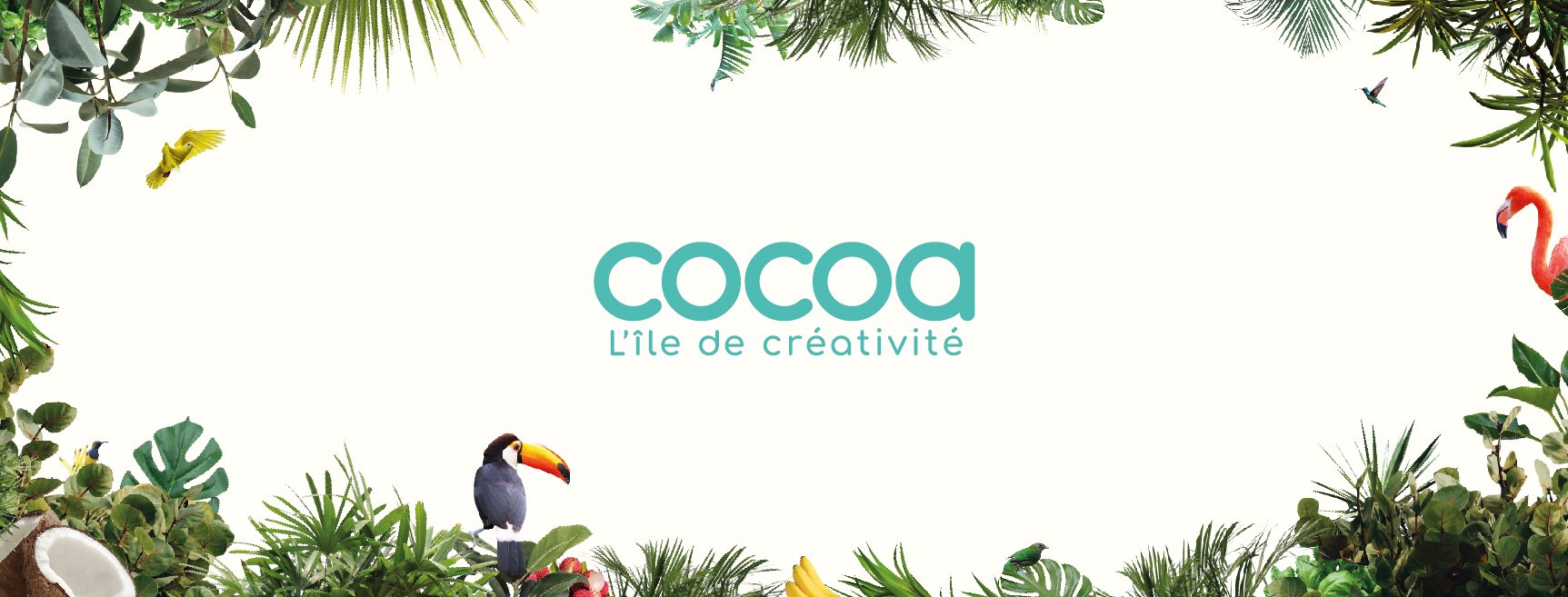 Facebook couverture cocoa