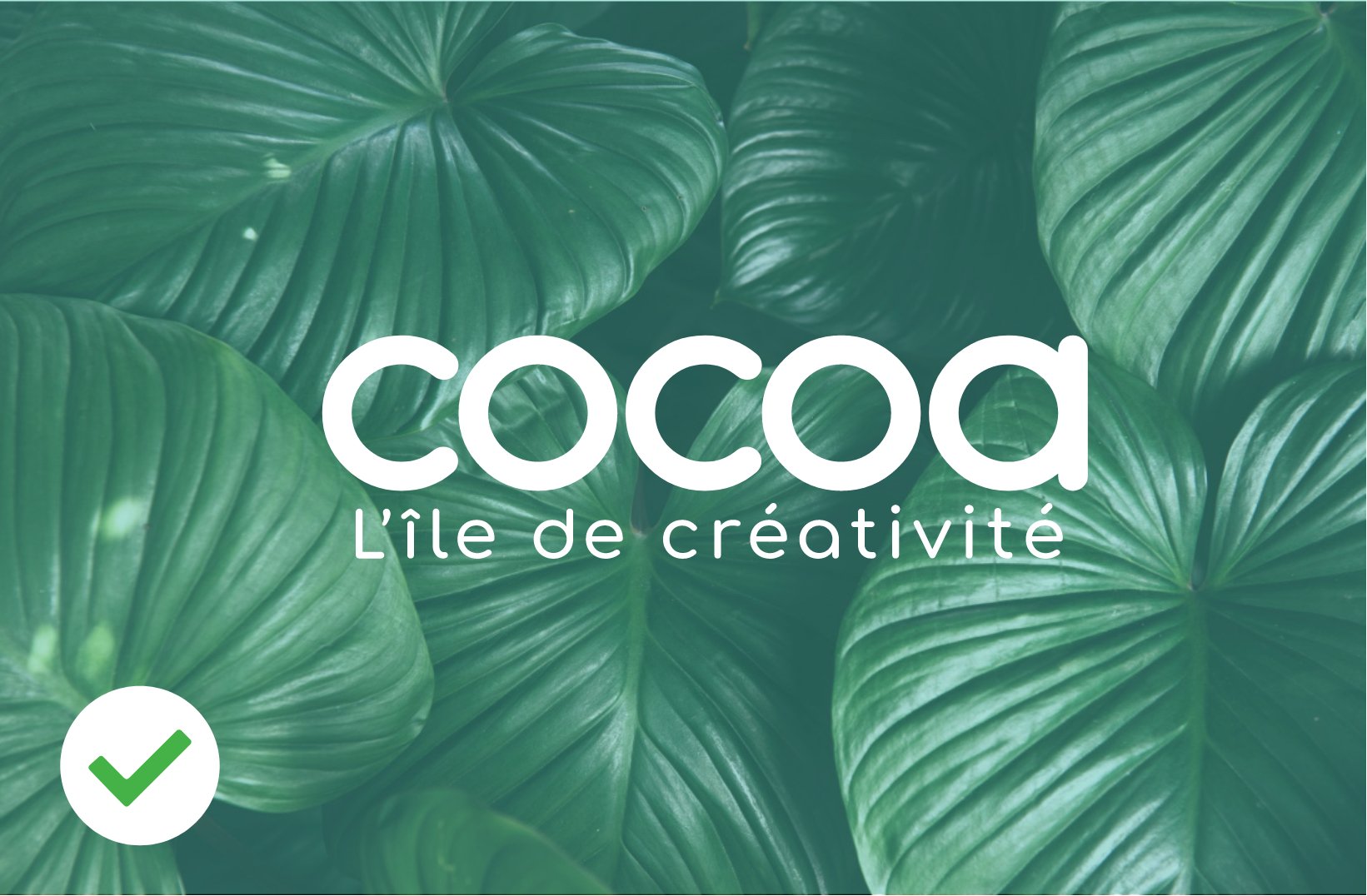 regles utilisation cocoa