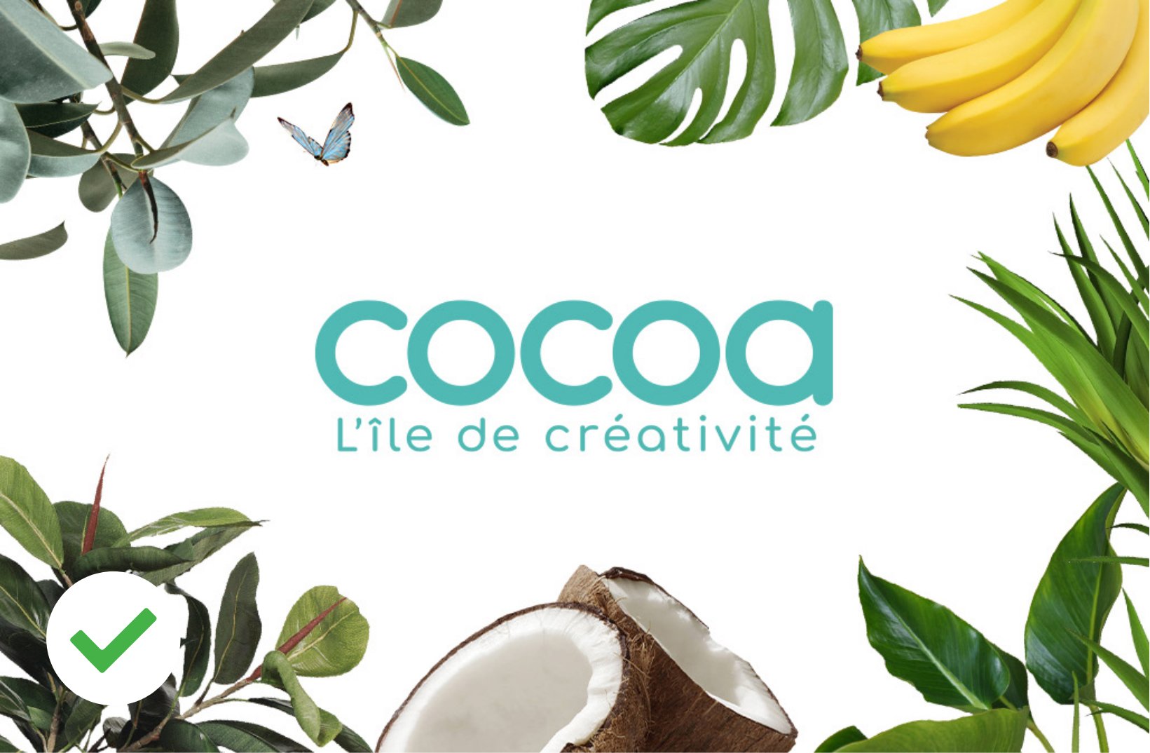 regles utilisation cocoa