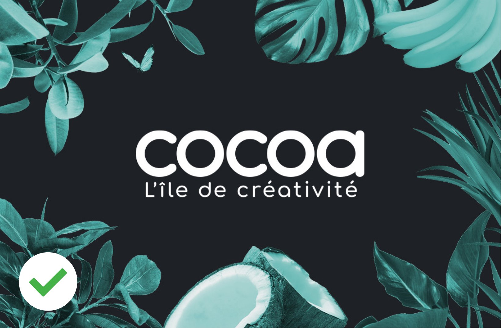 regles utilisation cocoa